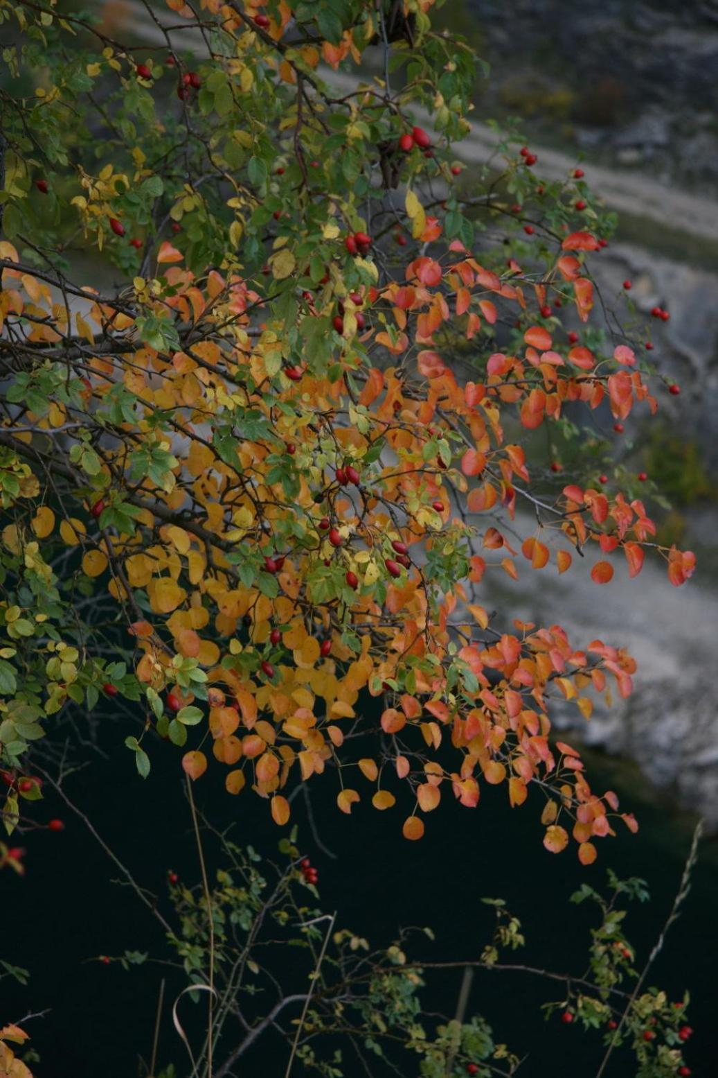 Penzion Speller Vysoký Újezd Dış mekan fotoğraf